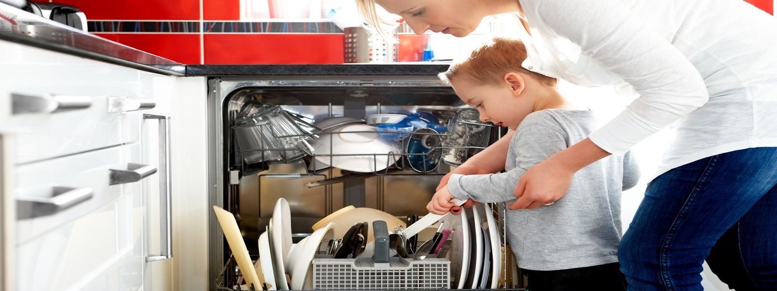 Bulaşık Makinesi Servisi